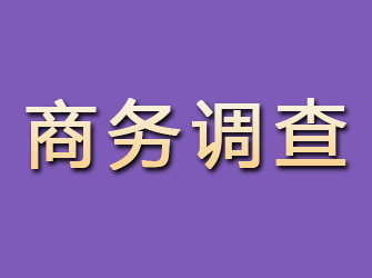 蕉城商务调查